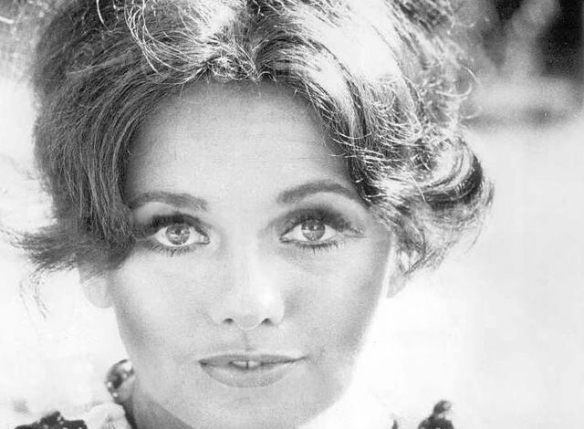 dawn wells from gilligans island to philanthropy a full biography