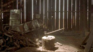 Frailty 2001 Axe