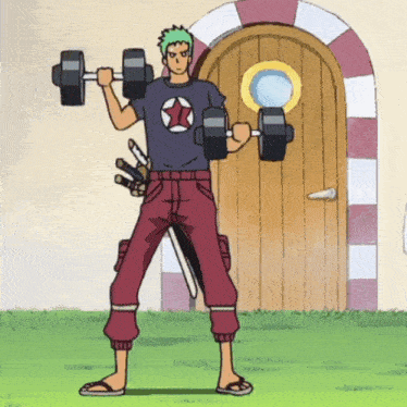 zoro roronoa zoro